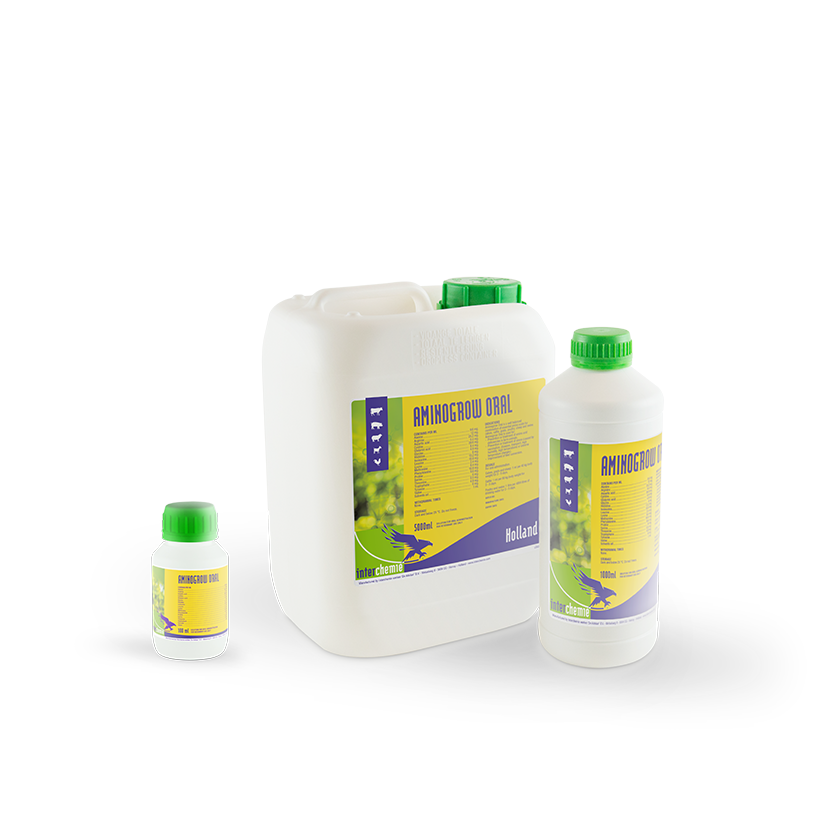 Aminogrow Oral