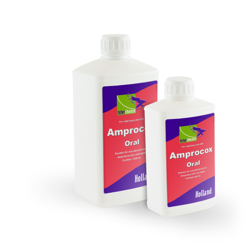Amprocox Oral
