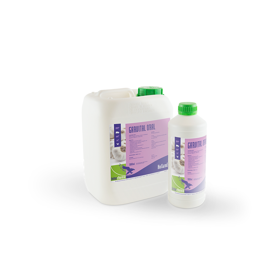 Garvital Oral