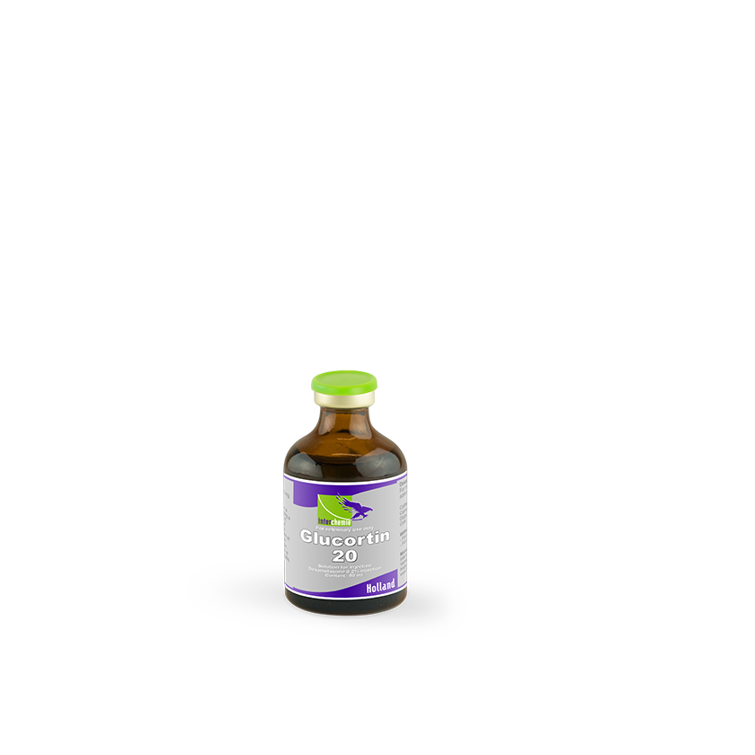 Glucortin-20