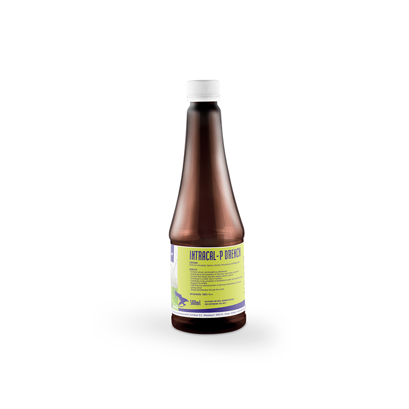 Intracal-P Drench