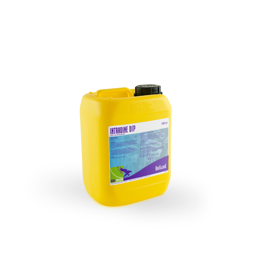 Intradine Dip