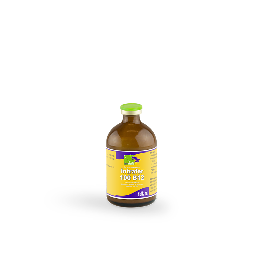 Intrafer-100 B12