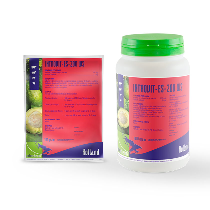 Introvit-ES-200 WS