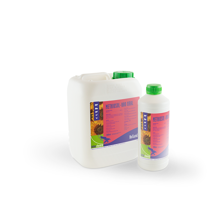 Methiosol-880 Oral